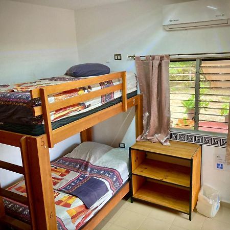 Yaxche Centro Hostal Y Camping バカラル エクステリア 写真