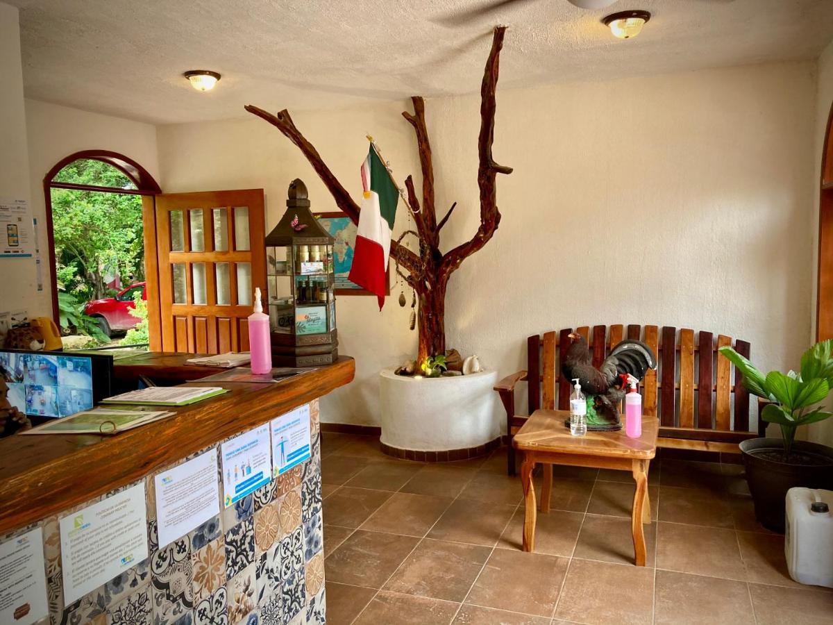 Yaxche Centro Hostal Y Camping バカラル エクステリア 写真