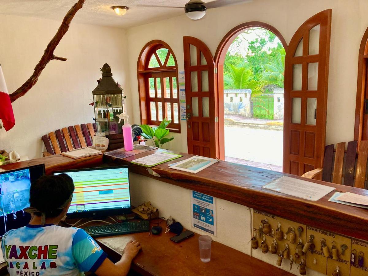 Yaxche Centro Hostal Y Camping バカラル エクステリア 写真
