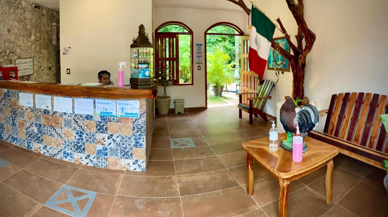 Yaxche Centro Hostal Y Camping バカラル エクステリア 写真