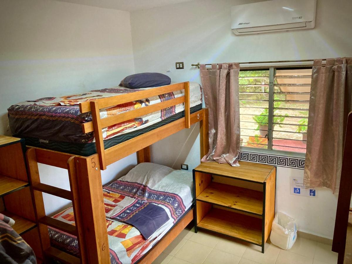 Yaxche Centro Hostal Y Camping バカラル エクステリア 写真