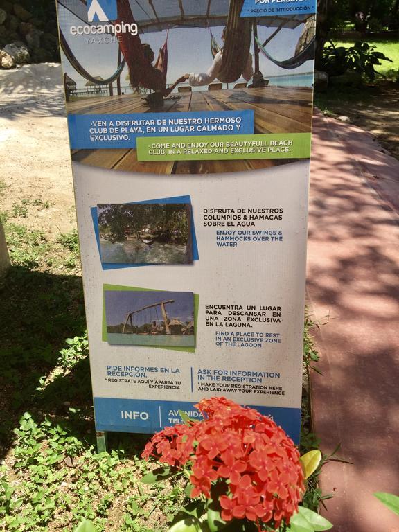 Yaxche Centro Hostal Y Camping バカラル エクステリア 写真