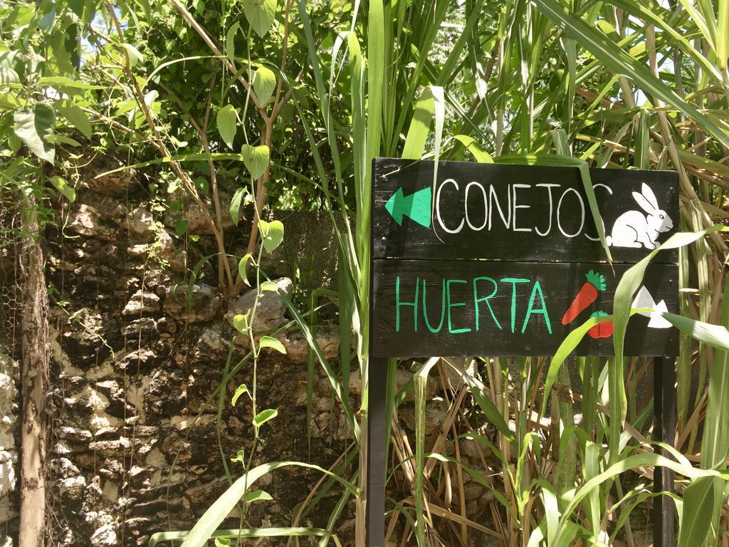 Yaxche Centro Hostal Y Camping バカラル エクステリア 写真